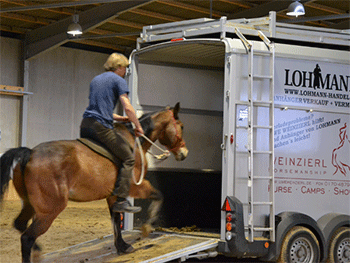 Gideon-Schroeder_verladetraining